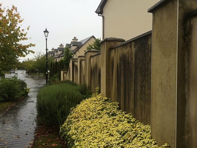 sunrise-exterior-cleaning (47)-kireth-ai